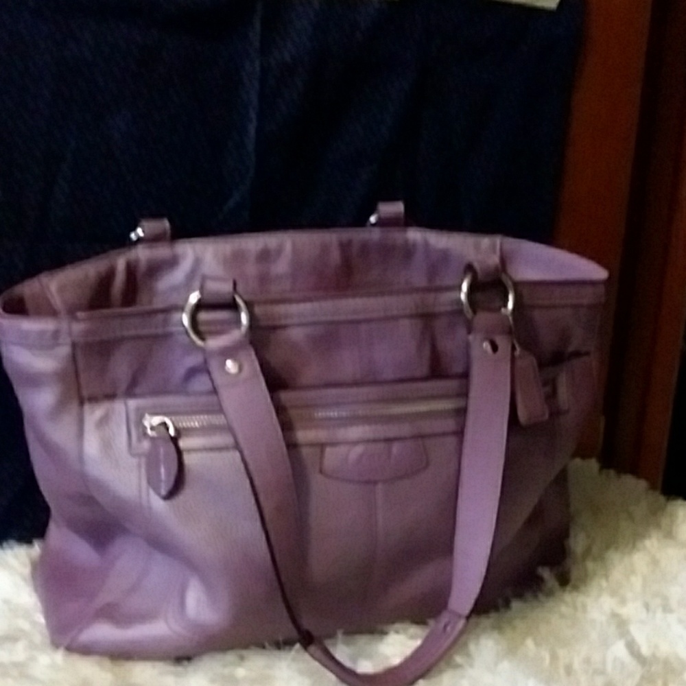 Large penelope pebble leather coach